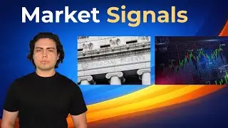 Fed Liquidity, Bond Markets & What Investors Are Watching Now