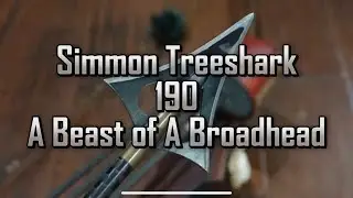 Traditional Archery: Simmons Tree Shark Broadhead