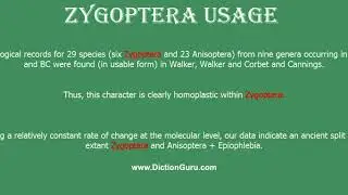 zygoptera: How to pronounce zygoptera with Phonetic and Examples
