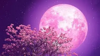 | Deep Sleep Music | Sleep music | Relaxing music | Calming music | cool nature