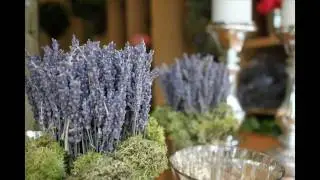 Flower Shop in Toronto