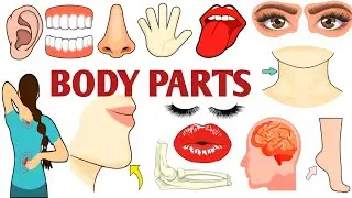 Parts of the Body | Parts of the Body for LKG Kids | Learn Body Parts & Sense Organs | #partsofbody 