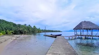 Virtual walk of wild Caribbean beach and Jungle | Bocas del Toro, Panama