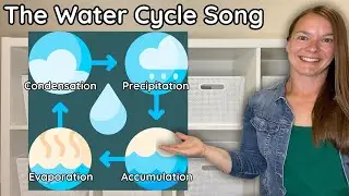 The Water Cycle Song for Kids | Preschool Weather Song #preschoolscience #learnweather #preschool