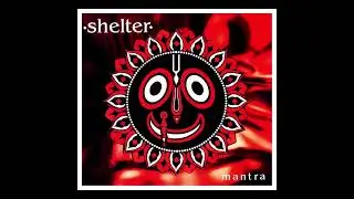 Shelter - Progressive Man