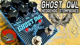 HedgeHog StompBoxes | Ghost Owl | VIDEO REVIEW [NO TALK / ONLY TONES]
