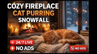 🔴  LIVE Cozy Fireplace Sounds 🔥 Cat Purring 🐱 Snowfall Outside ❄️ Relaxing Ambience