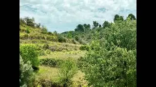 Relax With Nature