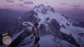 RDR2---I didn't know what this was.