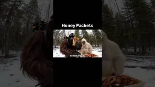 Trying a Honey Pack with Yeti #foryou