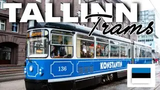 🇪🇪 Трамваи и автобусы Таллинна с рождественским настроением 🎄 #эстония #таллинн #youtube #yt #рож...