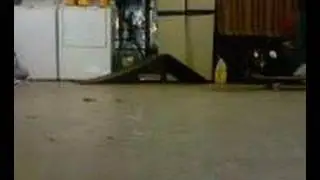 Gos half cab flip and half kickflip underflip