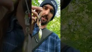 Buy The 1$ Spinner Bait From Wal-Mart They Said #shorts #fishing
