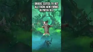 druids exited to get all there new forms in Patch 10.2 #worlfofwarcraft #wow #memes