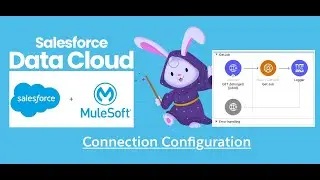 MuleSoft to Salesforce Data Cloud Connection Errors | Troubleshooting with CDP Connector