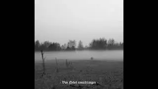 Drengskapur - Drunten im Tal (single)