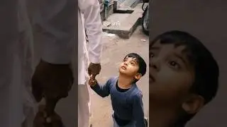 Mein Patang Hoon | मैं पतंग हूँ | Shorts
