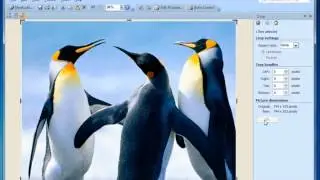 Базовое редактирование фотографий, Microsoft Office 2010, Microsoft Office Picture Manager