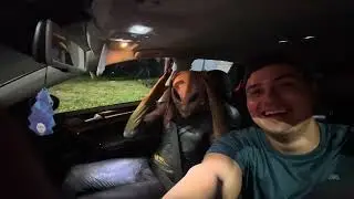 Rolê 🚘. Muito loco com um E T 👽👽