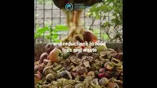 challenging environmental goals.#environmentmatters#climatechange  #sustainability #worldenvironment