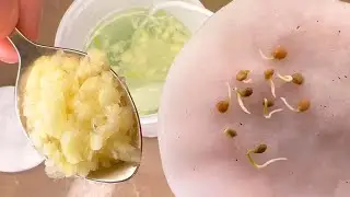 I was shocked! Even old seeds germinate very quickly! Seedlings are healthy and strong! Naturally