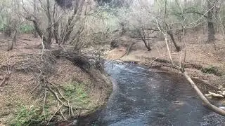 Dead River Sink on the Alapaha River