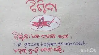 ଝିଣ୍ଟିକା (grasshopper 10 lines Essay)