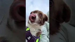 не понимаю нахрена существуют бомбочки 🥹