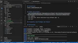 Set up maven project in vscode