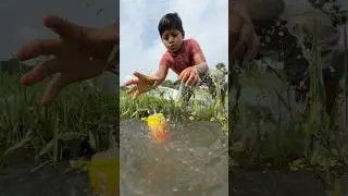 Amazing fishing with plastic bottle by village bill #Amazing #shorts #fish #fishing #fishvideo