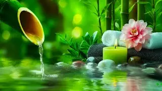 Deep Relaxation Piano & Water Sounds 🌿 Sleep & Stress Relief