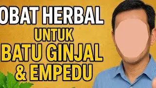 Obat Herbal Ampuh untuk Batu Ginjal & Empedu, Cara Alami Mengatasi Masalah Tanpa Operasi Mahal