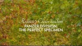 Chapter 4: Panzer Division, The Perfect Specimen