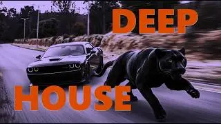 Cinematic Deep House Night Drive &ndash; Black Chrome | Tricky Bug