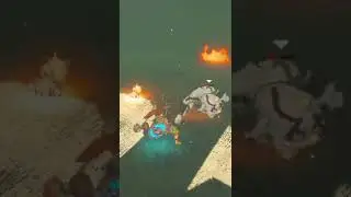 Fighting a White Bokoblin in BoTW