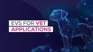 Extracellular Vesicles: The Future of Veterinary Diagnostics?