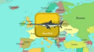 Sea ​​creatures (Sawfish, Salmon, Mussel) | Comparison of European Languages