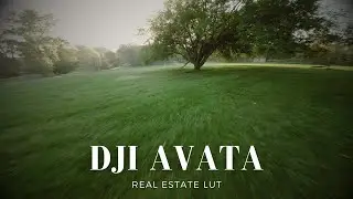 DJI Avata D CINELIKE LUTS FULL DJIMavicAirRealEstate