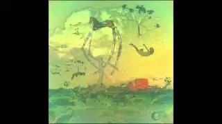 mr. Gnome - Plastic Shadow