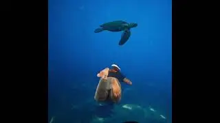 Subside is the most visually stunning VR experience I know of. #subside #scuba #virtualreality