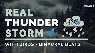 MUST PLAY THIS - THUNDERSTORM Sounds For Relaxing Sleep - With Binaural Beats, Delta Waves & Birds