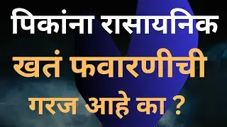 नैसर्गिक शेती | पिकांना रासायनिक खतं फवारणीची गरज आहे का ? #organicfarming #farming 