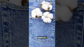 Enzymes in Your Jeans #fungal #enzymes #cellulosefiber #shortsfeed #facts #yt #bacteria #viral