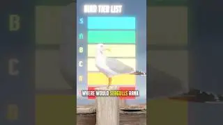 Are Seagulls Overpowered?