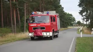 [Waldbrand | MAN-VW] LF 8 Freiwillige Feuerwehr Lauingen