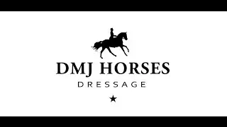 DMJ HORSES presents ★ DMJ LUCKY CHARM by Livaldon x Dannebrog