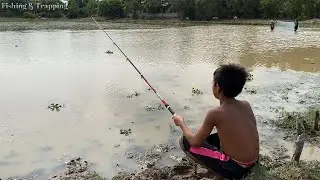 Best Fishing Video | Traditional Hook Fishing With Snails - [Fishing & Trapping] (Part-13)