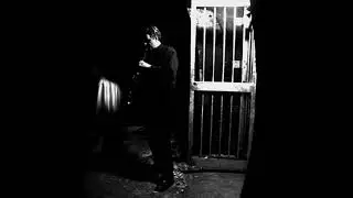 Gregory WHITEHEAD - Bugs, Bardo, Radio - Mister Whitehead, Are You There?