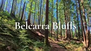 Hidden Views Across Deep Cove | Scenic Adventure at Belcarra Bluffs & Admiralty Point Trail 🌿