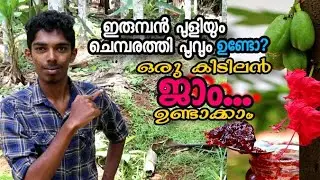 Natural Jam making kerala style/MasterPiece.ഇരുമ്പൻ പുളിയും ചെമ്പരത്തി  പൂവും ചേർത്ത് കിടിലൻ ഒരു ജാം